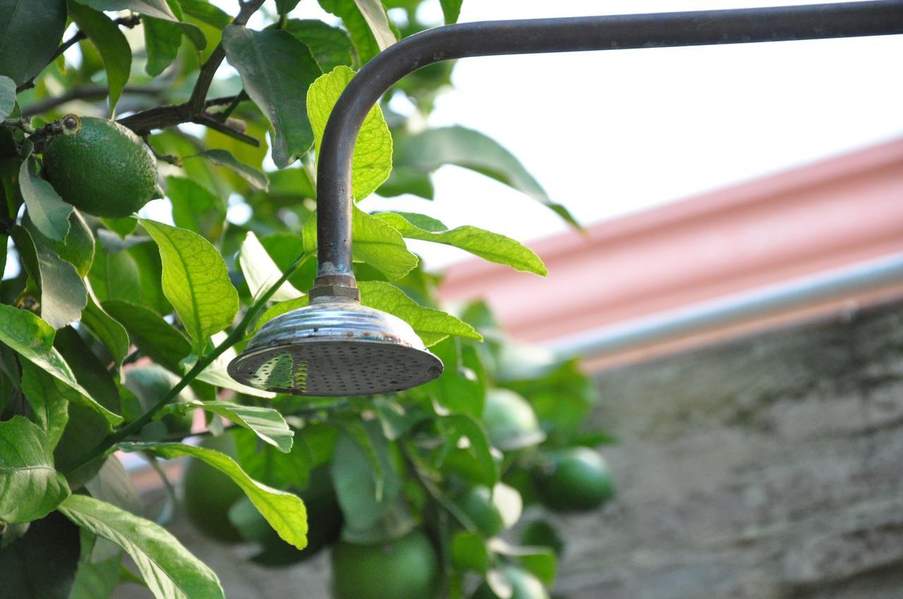 Lemon Garden Hostel Sevilla エクステリア 写真