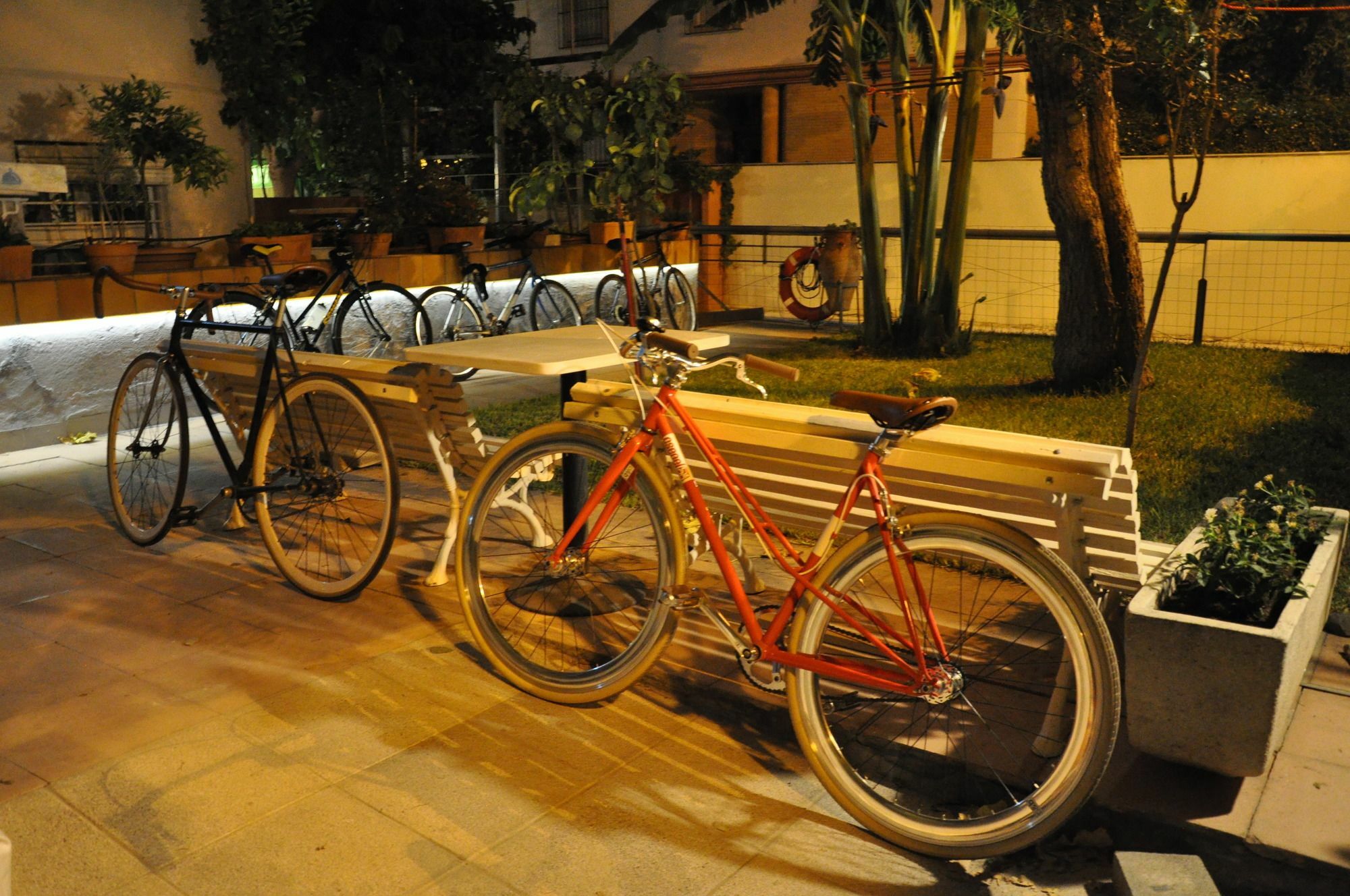 Lemon Garden Hostel Sevilla エクステリア 写真